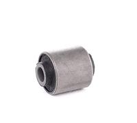 Sasic Support moteur 8003207