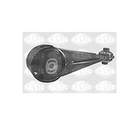 Sasic Support moteur 8061431