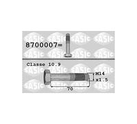 SASIC 8700007 Boulon de poulie