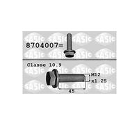 SASIC - Vis de la poulie-vilebrequin (damper) 8704007 - Réf. SA 8704007