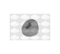 Sasic Support moteur 9001958 – Suspension du moteur