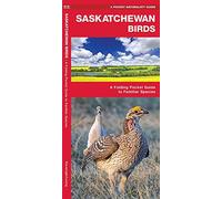 Saskatchewan Birds: A Folding Pocket Guide To Familiar Species