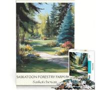 Saskatchewan Travel Posters Puzzle 1000 pièces pour Adultes | Jeux relaxants Chaque pièce est unique Renforcez l'amour entre les couples. 52x38cm