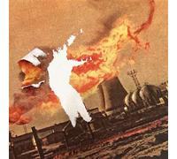 Sasquatch Landslide CD