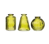 Sass & Belle Lot de 3 vases en verre vert olive