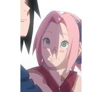SasuSaku Cherry Blossom Spring Fanfiction Bullet Journal - Anime Writing, Cosplay and Convention Planner