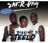 Sat-R-Day - Steelo [Import]