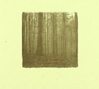 Satan Is My Brother - Forest Dark