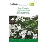 Sativa Achillée des Collines bio - 1 sachet