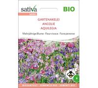 Sativa Ancolie Bio - 1 sachet