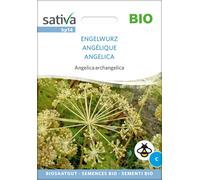 Sativa Angélique Bio - 1 sachet