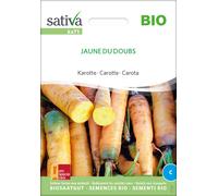 Sativa Carotte Bio "Jaune Du Doubs" - 1 sachet