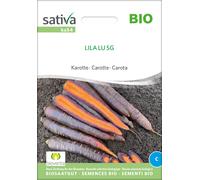 Sativa Carotte Bio "Lila LU SG" - 1 sachet