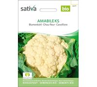 Sativa Chou-Fleur Bio "Amabile Ks" - 1 sachet