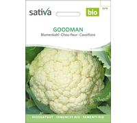 Sativa Chou-Fleur Bio "Goodman" - 1 sachet