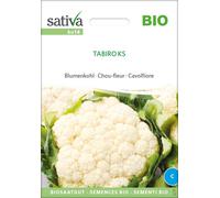 Sativa Chou-Fleur Bio "Tabiro KS" - 1 sachet