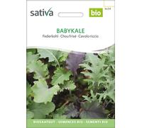 Sativa Chou Frisé Bio "Babykale" - 1 sachet