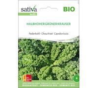 Sativa Chou Frisé Bio "Halbhoher Grüner Krauser" - 1 sachet
