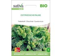 Sativa Chou Frisé Bio "Ostfriesische Palme" - 1 sachet