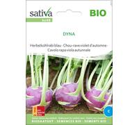 Sativa Chou-Rave Violet d'Automne Bio "Dyna" - 0,50 g