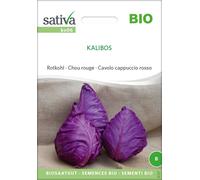Sativa Chou-Rouge Bio "Kalibos" - 1 sachet
