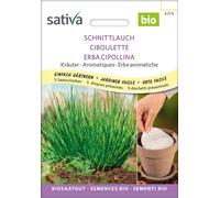 Sativa Ciboulette Bio | Disques Présemés - 1 sachet