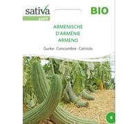 Sativa Concombre Bio "D'Arménie" - 1 sachet