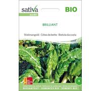 Sativa Côtes de Bettes Bio "Brilliant" - 1 sachet