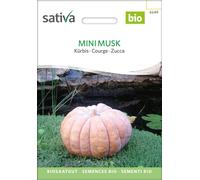 Sativa Courge Bio "Mini Musk" - 1 sachet