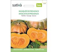 Sativa Courge Bio "Musquée De Provence" - 1 sachet