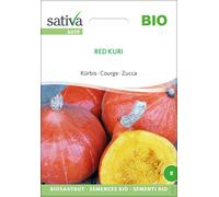 Sativa Courge Bio "Red Kuri" - 1 sachet