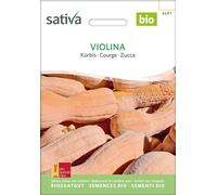 Sativa Courge Bio "Violina" - 1 sachet