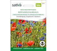 Sativa Engrais Vert Bio "Bandes Semées Chou Annuelles" - 1 sachet