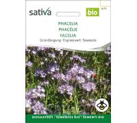 Sativa Engrais Vert Bio "Phacelis" - 1 sachet