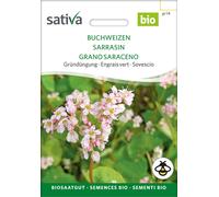 Sativa Engrais Vert Bio "Sarrasin - 1 sachet