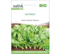 Sativa Épinard Bio "Butterfly" - 25 g