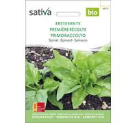 Sativa Épinard Bio "Première Récolte" - 1 sachet