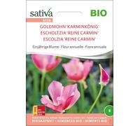 Sativa Escholtzia Bio "Karmin König" - 1 sachet