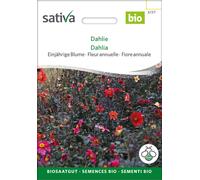 Sativa Fleur Annuelle Bio "Dahlia" - 0,50 g