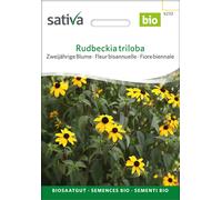 Sativa Fleur Bisannuelle Bio "Rudbeckia triloba" - 0,25 g