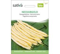 Sativa Haricot à Rame Bio "Neckargold" - 1 sachet