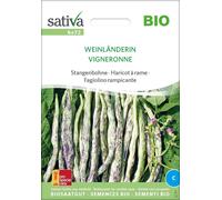 Sativa Haricot à Rame Bio "Vigneronne" - 1 sachet