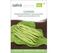 Sativa Haricot Nain à Filet Bio "Cupidon" - 1 sachet