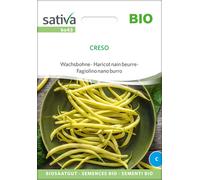 Sativa Haricot Nain Beurre Bio "Creso" - 1 sachet