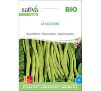 Sativa Haricot Nain Bio "La Victoire" - 1 sachet