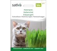 Sativa Herbe à Chat Bio - 50 g