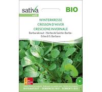 Sativa Herbe de Sainte-Barbe Bio "Cresson d'Hiver" - 1 sachet