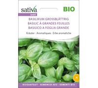 Sativa Herbes Aromatiques Bio "Basilic à Grandes Feuilles" - 1 sachet