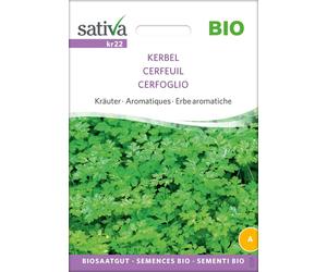 Sativa Herbes Aromatiques Bio "Cerfeuil" - 1 sachet