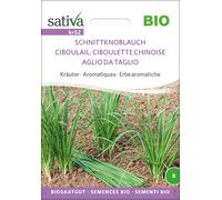 Sativa Herbes Aromatiques Bio "Ciboulail (Ciboulette Chinoise)" - 1 sachet